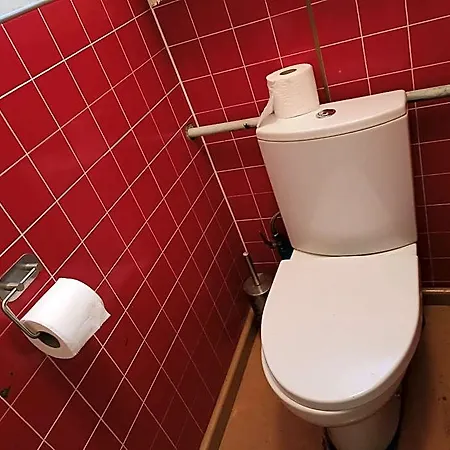 Kuus Tuba Лейси